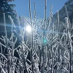 / Allgaeu שטייביס