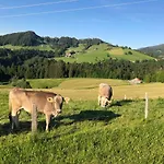 / Allgaeu * Steibis
