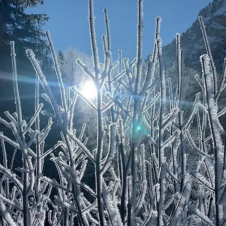 / Allgaeu Steibis
