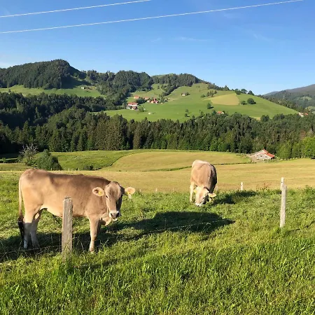 / Allgaeu * Steibis