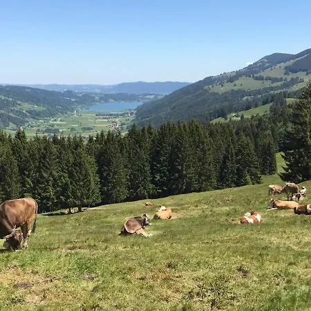 / Allgaeu Steibis
