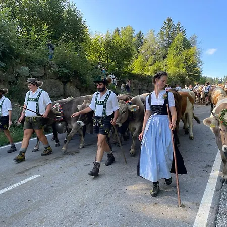 / Allgaeu Διαμέρισμα