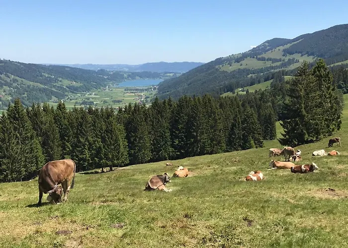 / Allgaeu Steibis