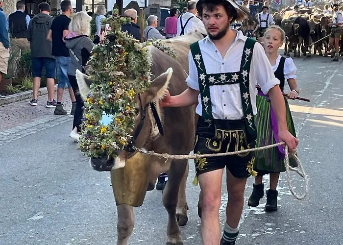 / Allgaeu * שטייביס